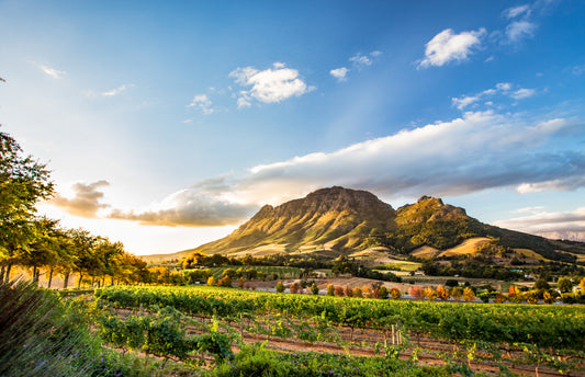 South African landscape